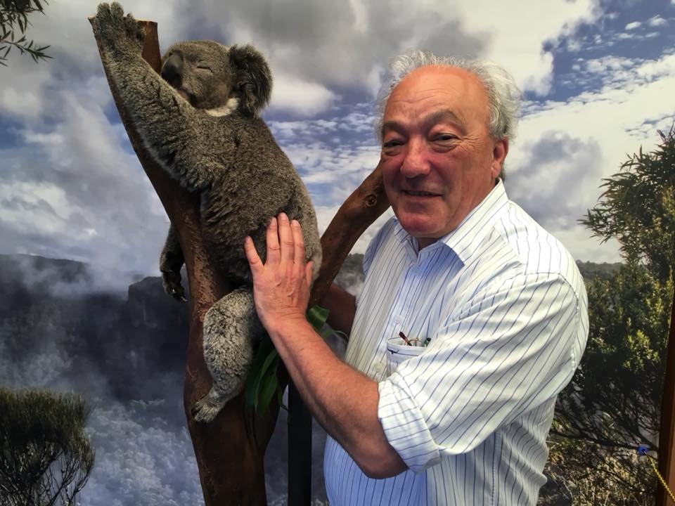 STATEMENTS BY MEMBERS - Macarthur Electorate: Koalas Main Image
