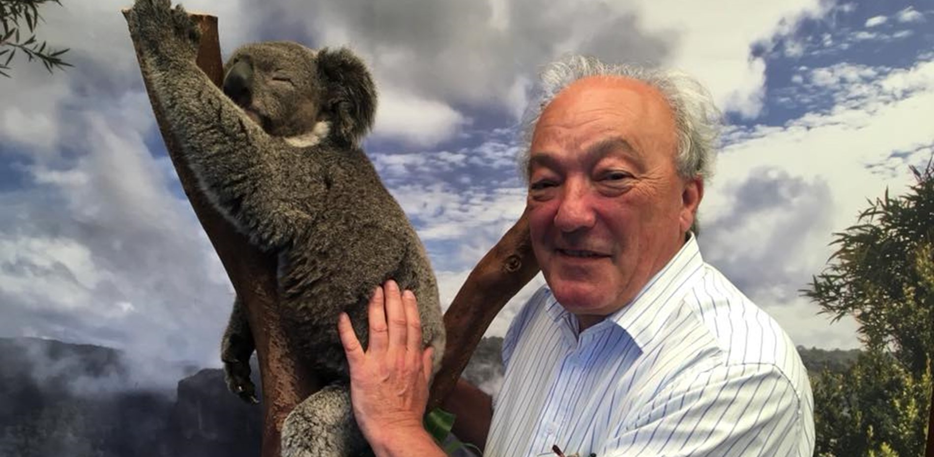 STATEMENTS BY MEMBERS - Macarthur Electorate: Koalas Main Image