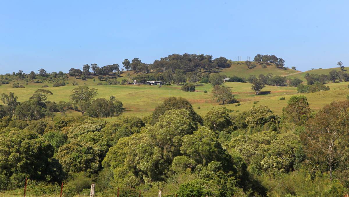 SCENIC HILLS APPROVAL DISASTROUS  FOR MACARTHUR Main Image