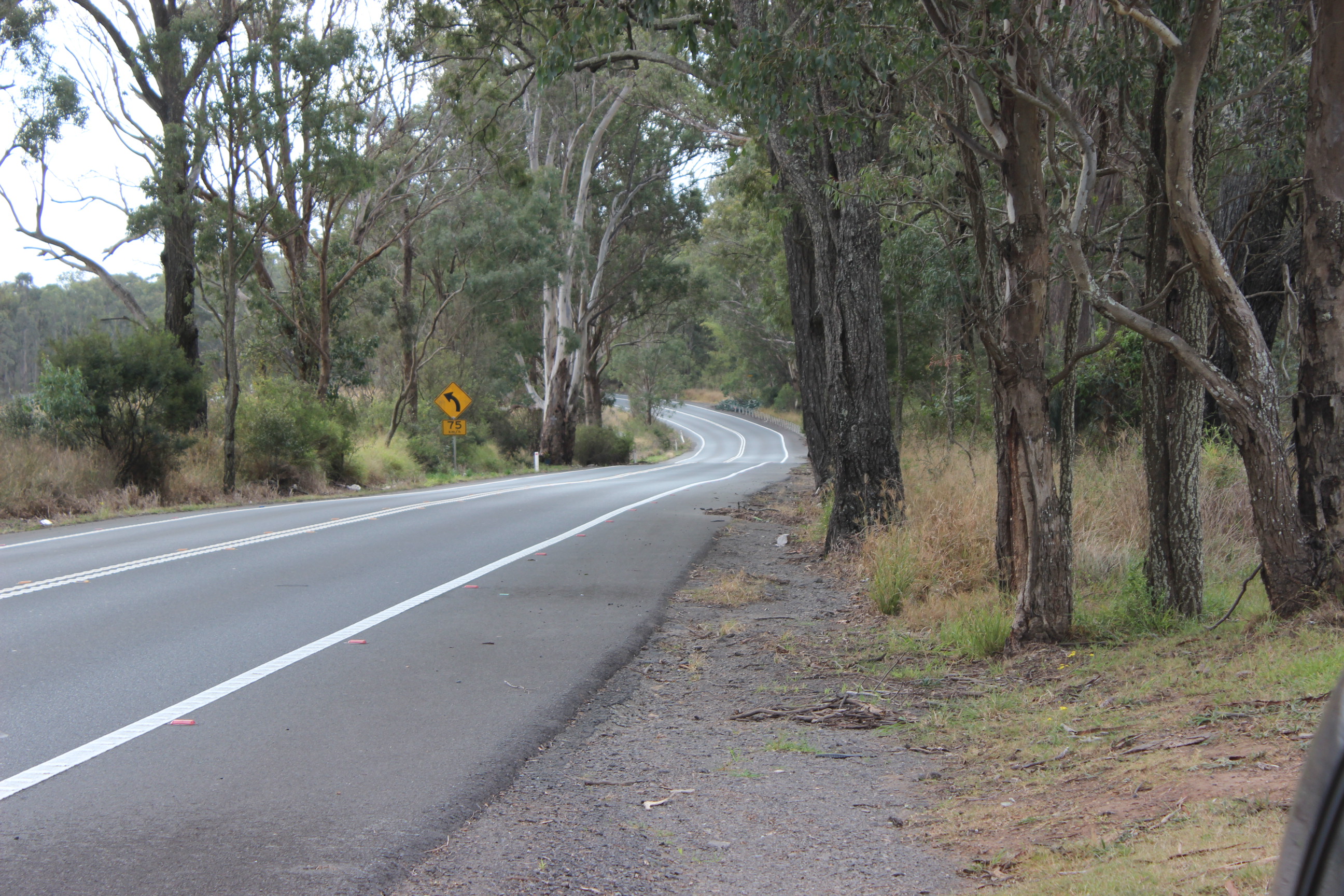 STATEMENTS BY MEMBERS - Macarthur Electorate: Roads Main Image