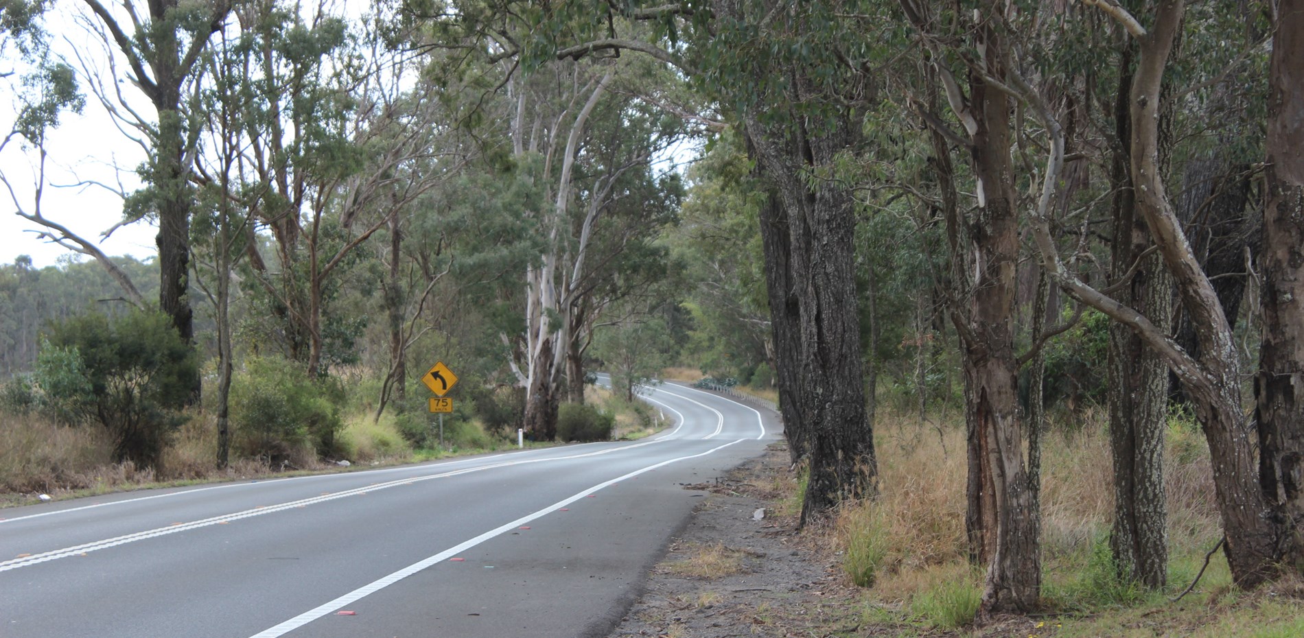 STATEMENTS BY MEMBERS - Macarthur Electorate: Roads Main Image