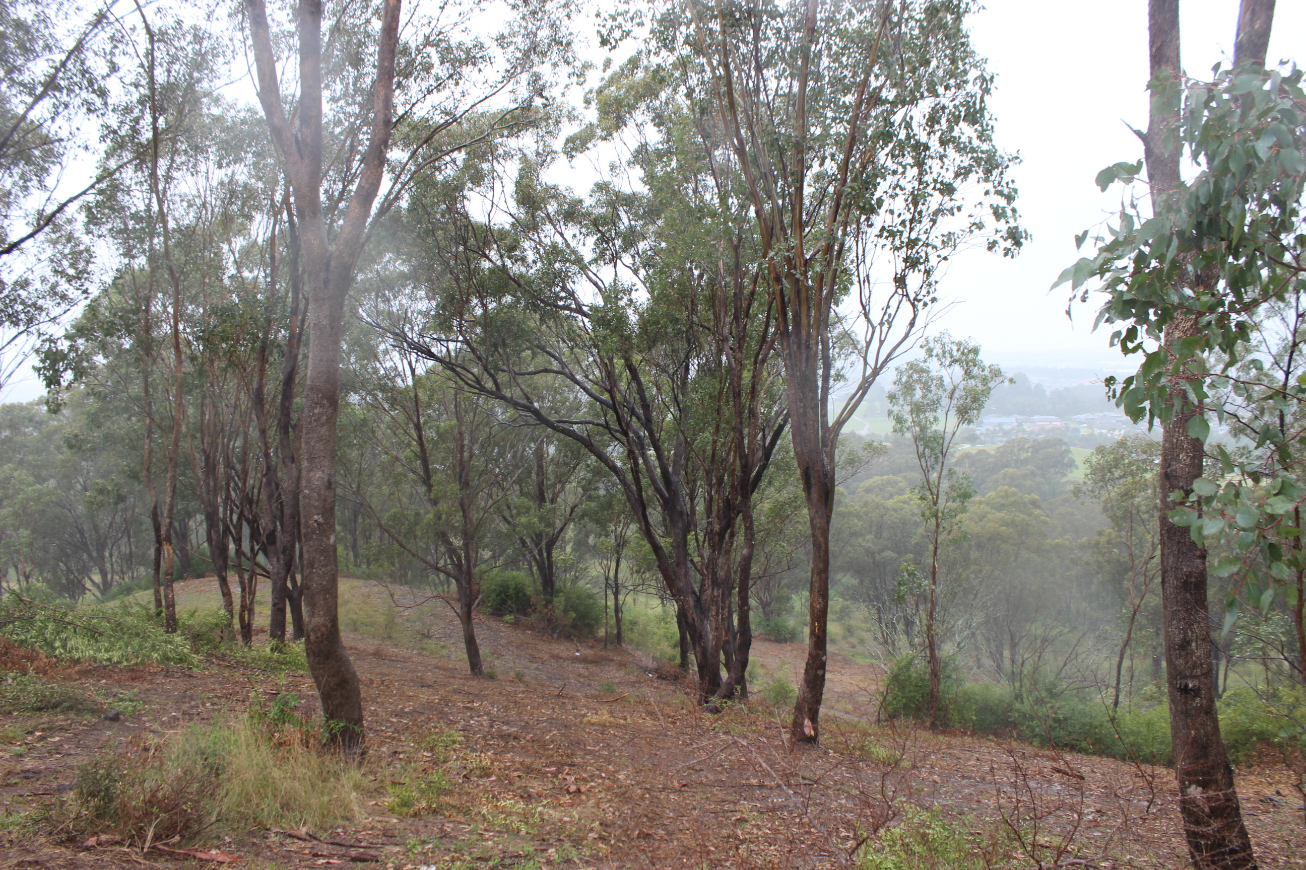 CLIMATE CHANGE, THE ECONOMY AND HEALTH; AN ALIGNMENT OF POLICY INITIATIVES Main Image